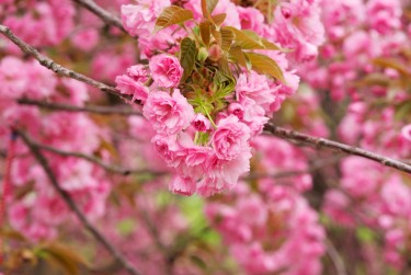 南通线下个人借款平台一站式服务，轻松解决资金难题