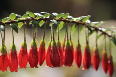 南通零用贷短借：轻松解决临时资金需求