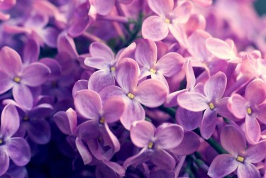 南通企业急用钱贷款攻略：快速融资解燃眉之急